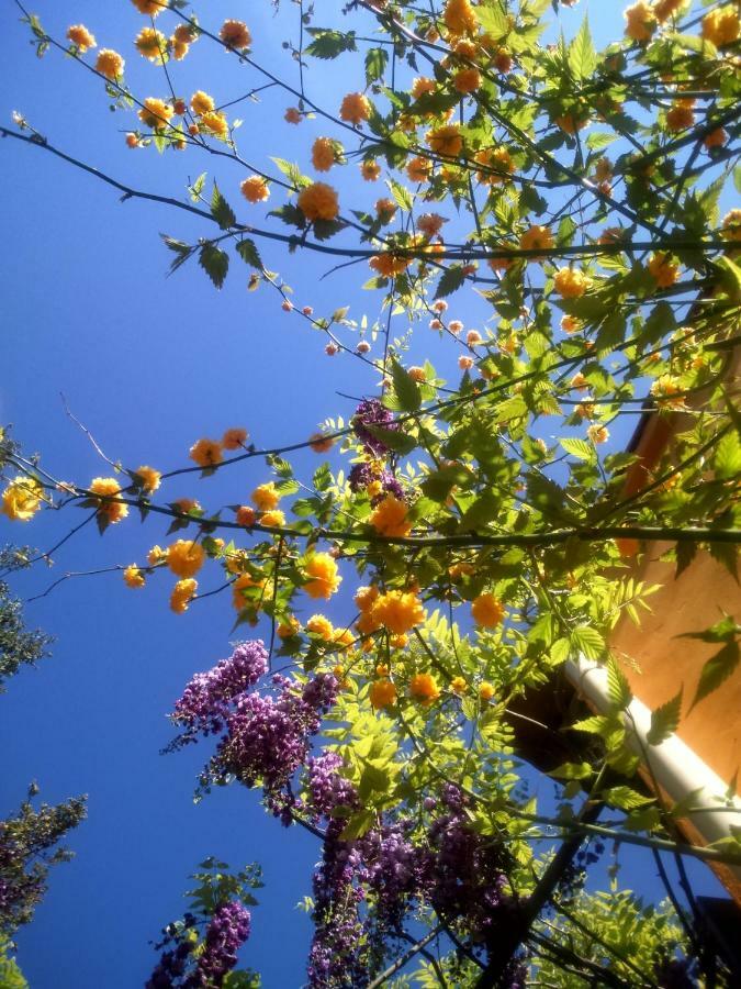 La Joliette Ξενοδοχείο Junas Εξωτερικό φωτογραφία